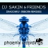 DJ Sakin & Friends