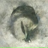 Suma