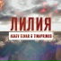 Agaev Elmar, Timaprimus