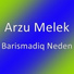 Arzu Melek