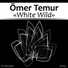 Ömer Temur