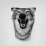 Yelawolf Ft. DJSNT