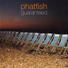 Phatfish