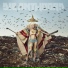 DIE ANTWOORD