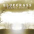 Bluegrass Worship Band