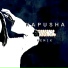 Kapusha