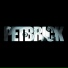 Petbrick