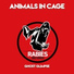 Animals In Cage