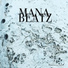 Mana Beatz feat. Icepro