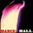 Black Devil Disco Club, Axel And The Farmers