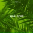 ZER04 (Leon Rabal' x DeeSpace)
