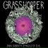 Grasshopper
