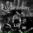 Virgin Soldiers
