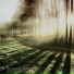 Natural Meditative State