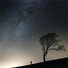 Echoes Of The Earth