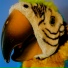 Dave Taylor