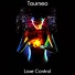 Tourneo