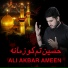 Ali Akbar Ameen