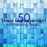 No Stress Ensemble