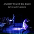 Annisette, DR Big Band