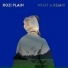 Rozi Plain, Petit Fantôme