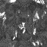 платина