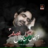 Syed Raza Ali Shah
