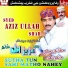 Syed Aziz Ullah Shah