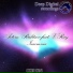 Artem Rubtsov feat. v.ray