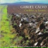 Gabriel Calvo