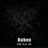 Buben