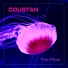 Coustan