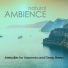 Natural Ambience Professor