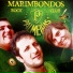 Marimbondos Rock Club Palmeiras
