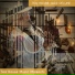 Tea House Jazz Deluxe