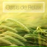 Mente Abierta