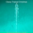 Classy Tropical Christmas