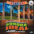 Marimba Orquesta Sonora Ideal