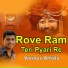 DP Meena