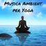Ambient Music Series