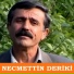 Necmettin Deriki