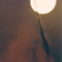 J. Irvin Dally