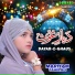 Mariyam Tahir Ali