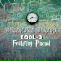 Kool-D feat. Pincool