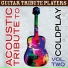 Guitar Tribute Players