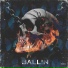 LOCOBALLIN