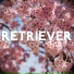 Retriever