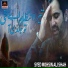 Syed Raza Ali Naqvi