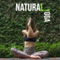 Namaste Healing Yoga