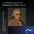 Chamber Orchestra Perpetuum Mobile, Igor Blazhkov